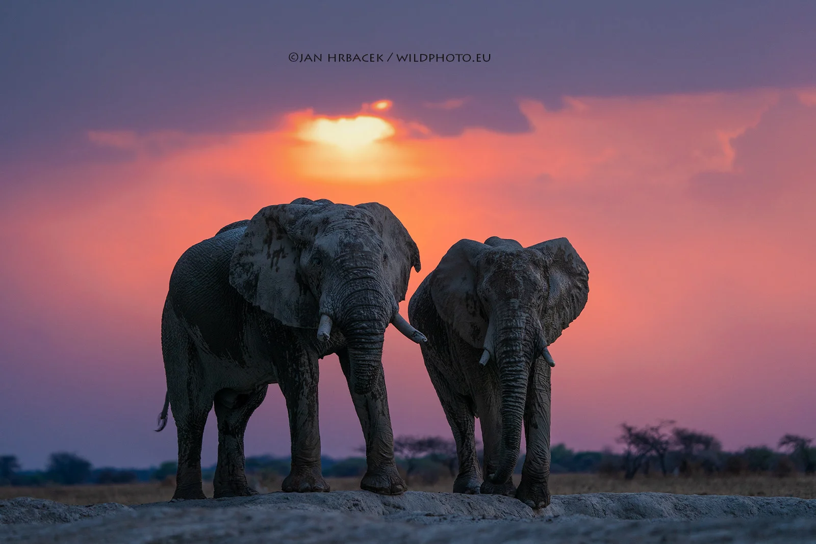 Nxai Pan NP, Botswana